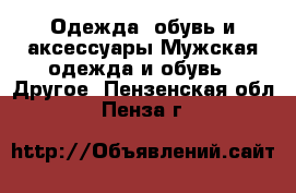 Одежда, обувь и аксессуары Мужская одежда и обувь - Другое. Пензенская обл.,Пенза г.